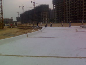 寧夏膨潤(rùn)土防水毯 景觀湖防滲的理想選擇與采購(gòu)指南