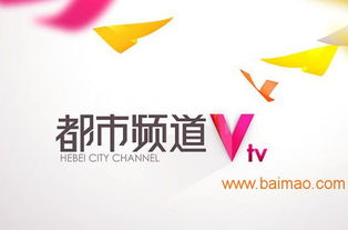 海王廣告 專業鑄就卓越，精準賦能河北電視臺廣告優勢發布